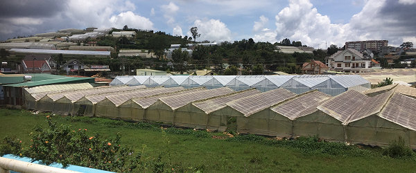 A typical scene driving into Da Lat